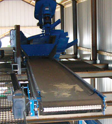 Distribution Conveyor System